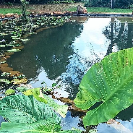 Deo Resta Guest Lodge Piet Retief Ngoại thất bức ảnh